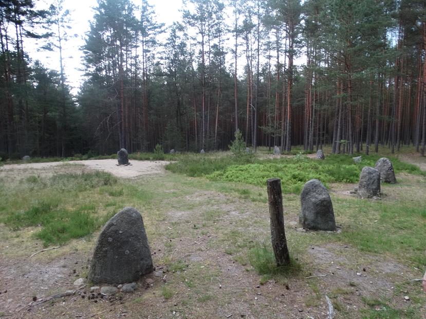 Grzybnica – Rezerwat „Kręgi Kamienne” « Zamki Rotmanka