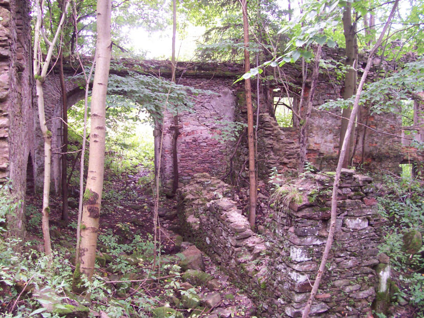 Niemojów ruiny dworu sołtysów « Zamki Rotmanka