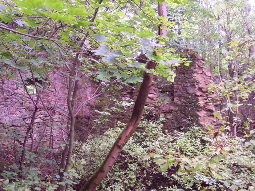 Niemojów ruiny dworu sołtysów « Zamki Rotmanka