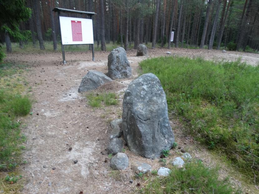 Grzybnica – Rezerwat „Kręgi Kamienne” « Zamki Rotmanka